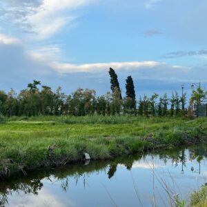 Isola delle Vignole: una nuova location per eventi