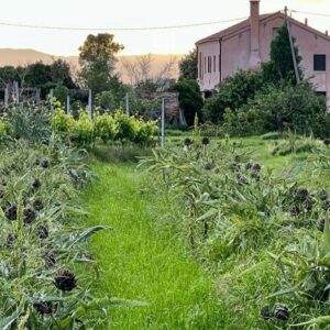 Isola delle Vignole: una nuova location per eventi