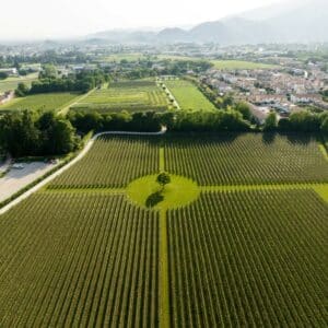 Ca’ Apollonio Heritage: il boutique hotel tra lusso e natura