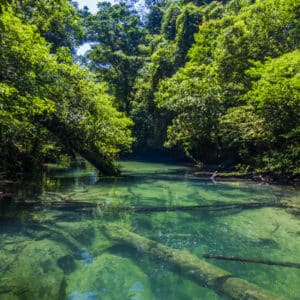 Grotte del Niah Malesia