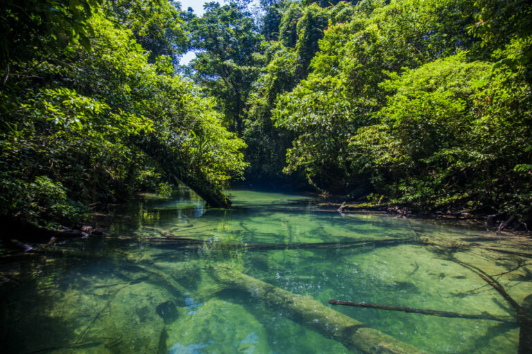 Grotte del Niah Malesia