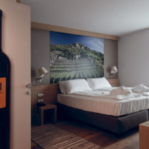 Wine resort Valtellina