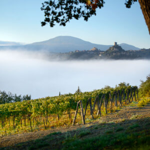 Tenuta Sanoner Bagno Vignoni