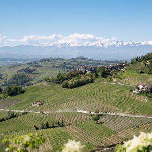 UVE Rooms: un soggiorno di charme nelle Langhe