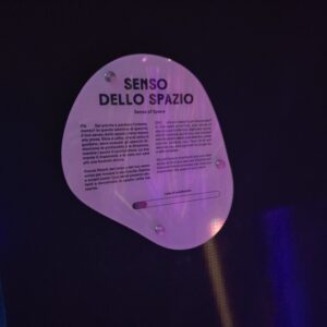 Museum of Senses Milano, un viaggio esperienziale tra illusioni e stupore