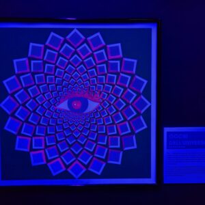 Museum of Senses Milano, un viaggio esperienziale tra illusioni e stupore