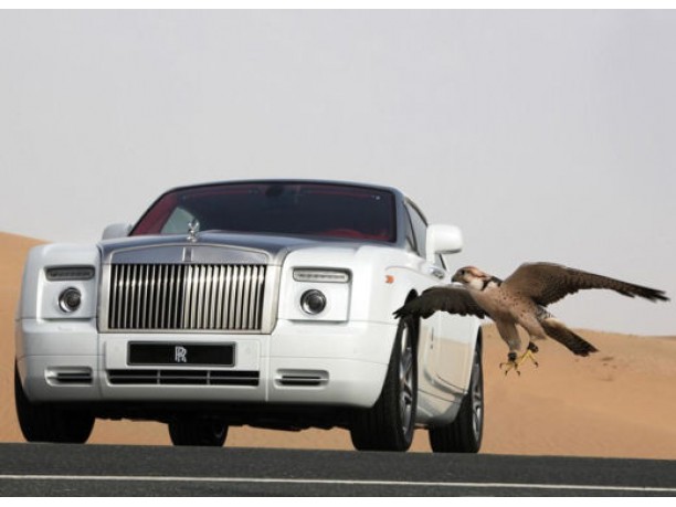 Rolls Royce Phantom Shaheen