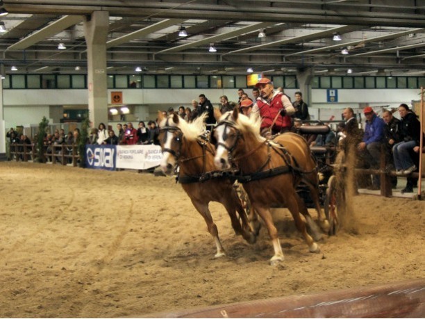 Fieracavalli 2012