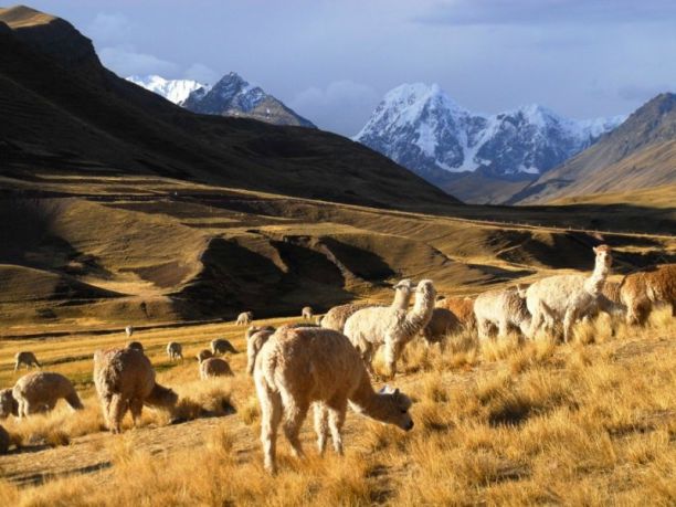 In Perù per un viaggio originale nella valle degli Incas