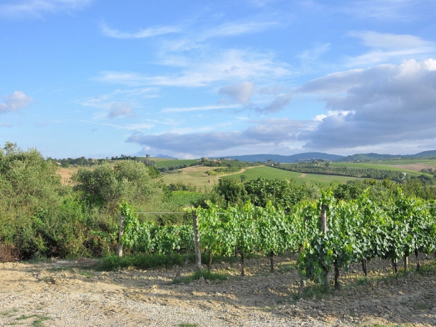 Strade del vino in Toscana